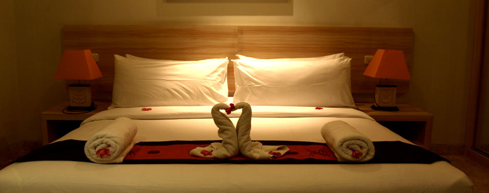 Premium WordPress Themes